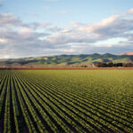 Image of rolling farmlands.