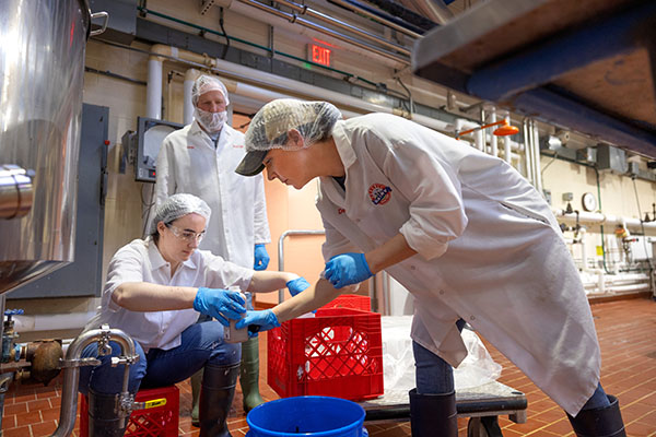 Image of Rebecca Phillips, left, a regional dairy processing specialist with Cornell Dairy Foods Extension, helps John and Sammi Collins bottle their new high-protein chocolate milk drink in Cornell’s Food Processing and Development Laboratory.