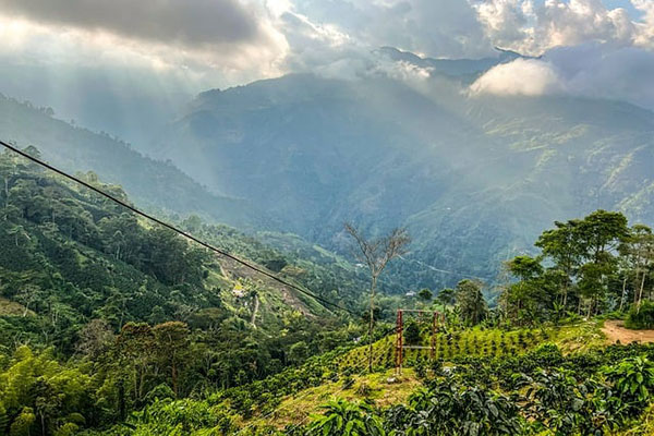 Tree-covered mountainous landscape with dramatic clouds and sun rays, Columbia.