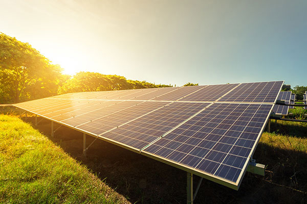 Rows of solar panels in a field under a clear sky, capturing sunlight to generate renewable energy, with the sun shining brightly in the background.