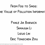From Smog to Fog Video Picture