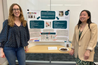 Adobe Express – file (12)