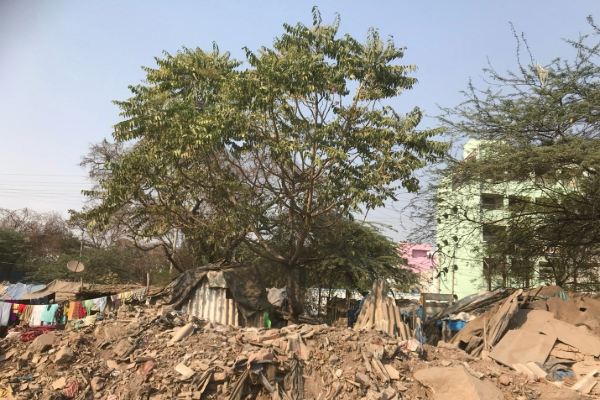 The picture depicts a slum under trees and with personal objects exposed.