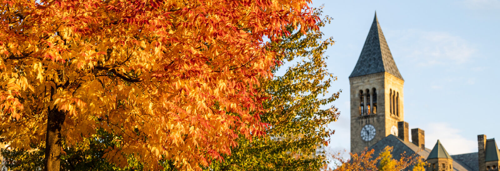 McGraw Tower behind fall foliage.
