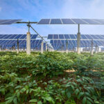 Solar panels