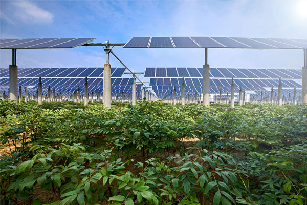 Solar panels