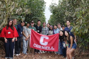 students in an avocado orchard