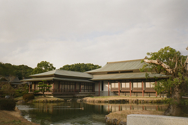 Traditional Japanese garden and architecture.