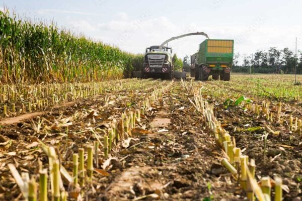 A tractor harvesting a crop
