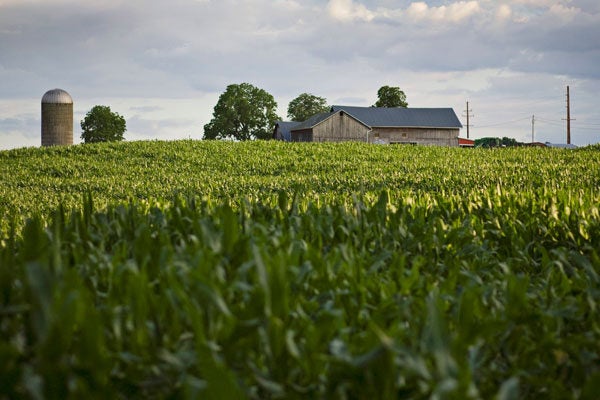A photo of a farm and grain silo on a grassy horizon