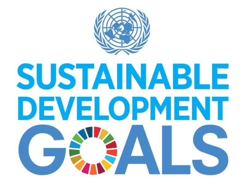 UN Sustainable Development Goals logo