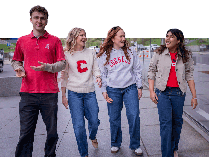 four Nolan students walking down sidewalk laughing