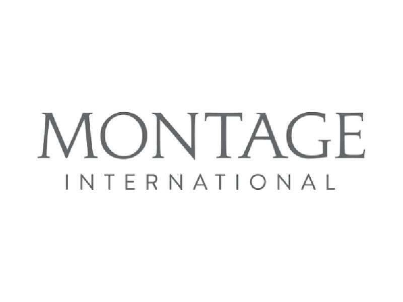 montage international_logo