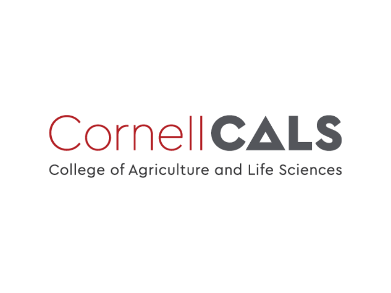 Cornell Cals logo