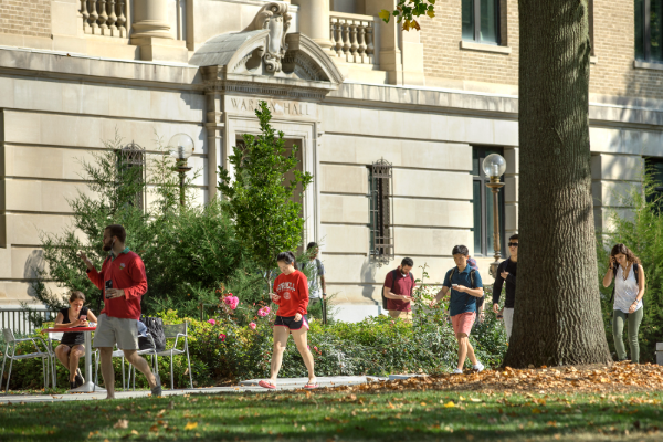 people walking in park