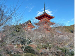 Image of Kiyomizu-dera Temple as it sits high above the old city of Kyoto