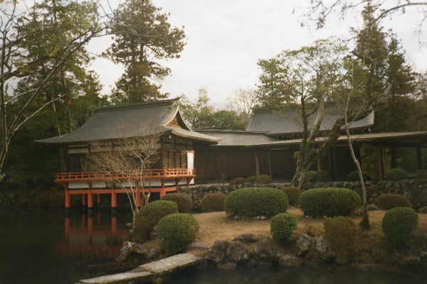 Shrine structure at Usa Jingū, reflecting the stability and generational perspective required for sustained development.