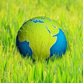 Can Africa Feed the World?inline-block