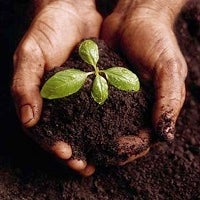How Regenerative Agriculture Can Build Climate Resilience in Emerging and Frontier Economies