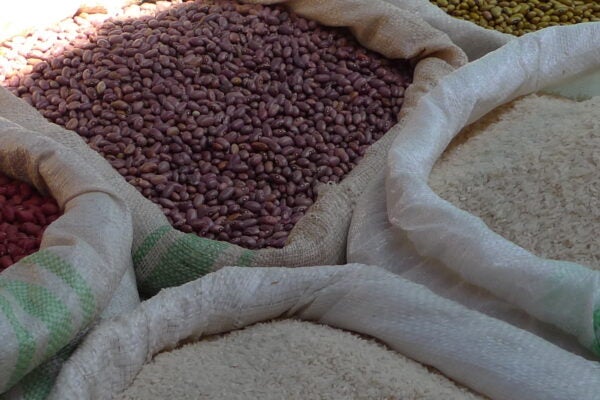 Grain in sacks at a market.