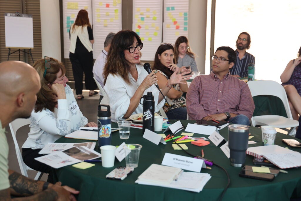 Woman speaking into a microphone at a table of conference participants.