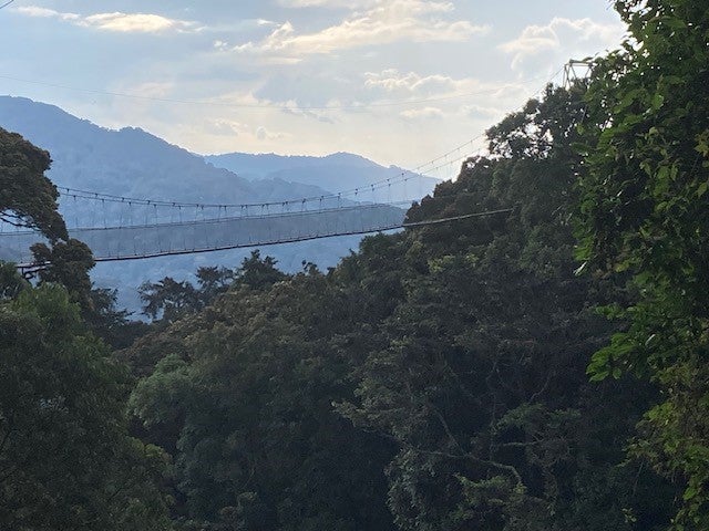 A landscape of Rwanda.