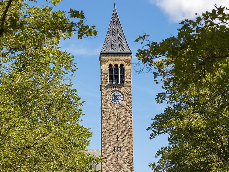 McGraw clock tower framed by two trees.