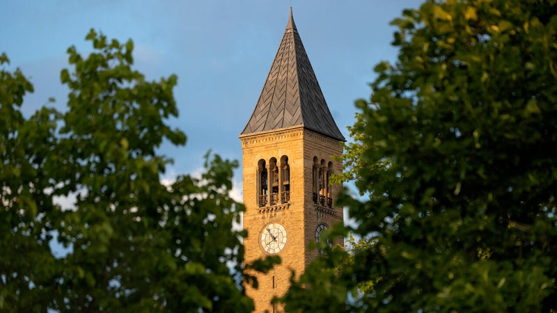 McGraw Tower through the trees.