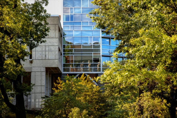 Sunlight and blue skies are reflected in the mirrored surface of UP Health Center.